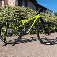 Cannondale Jekyll 3 29