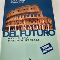 Le radici del futuro nelle età preindustriali