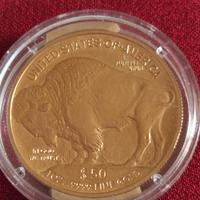 50 dollari Buffalo