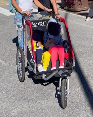 Rimorchio passeggino /carrello