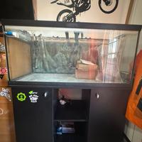 Acquario completo