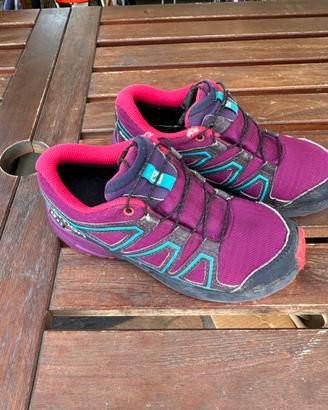 Salomon 31