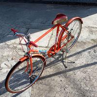 Bicicletta da ragazzo