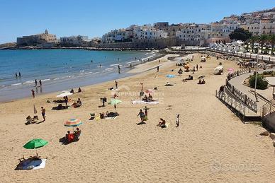 Appartamento in centro a pochi passi dal mare