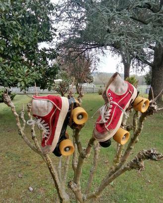 scarpe con pattini a retelle