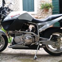 Buell X1 Millennium – Serie Limitata 2000