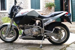 Buell X1 Millennium – Serie Limitata 2000