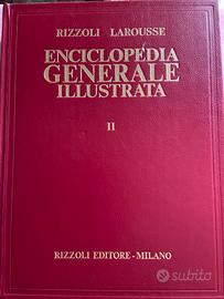 Enciclopedia Generale Illustrata Rizzoli Larousse