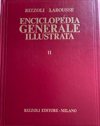 Enciclopedia Generale Illustrata Rizzoli Larousse