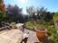 Immagine 25
