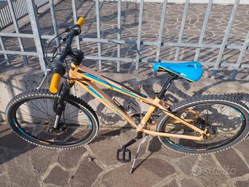 Mountain bike bambino
