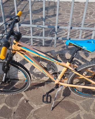 Mountain bike bambino