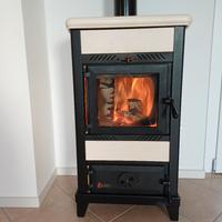 Stufa a legna Focus Regina