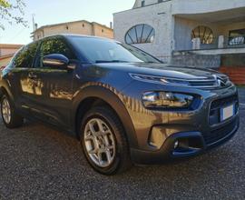 CITROEN C4 CACTUS BlueHDi 100 S&S Shine