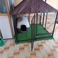 box cane piccola e media taglia