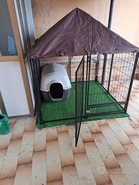 box cane piccola e media taglia