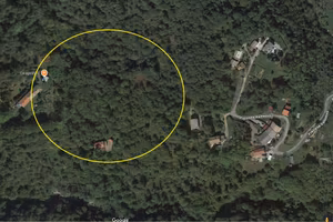 TERRENO BOSCHIVO FORNO CANAVESE