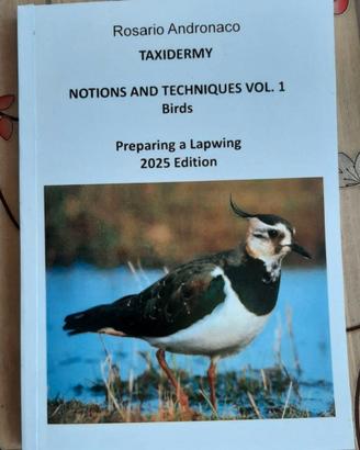 Libro inglese Taxidermy, preparation of a lapwing