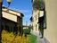 Immagine 20