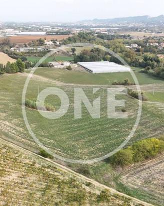 Terreno di 53727 m² a Cepagatti