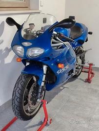 Triumph Daytona iscritte ASI