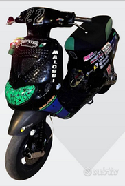 Zip sp malossi big bore 77cc telario fr no documen