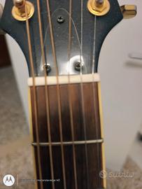 Ibanez Talmax Inter city acustica amplificabile 