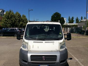 Fiat ducato cassonato