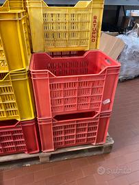 Cassetta di plastica