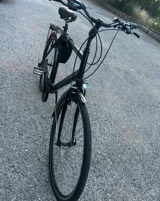 Bici da passeggio