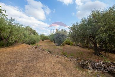 Terreno - Camporotondo Etneo