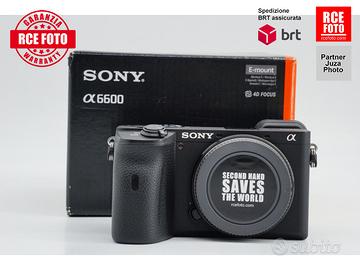 Sony A6600