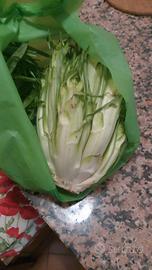 Responsabile di cucina/ Cuoco