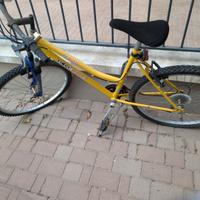 Bici 24"