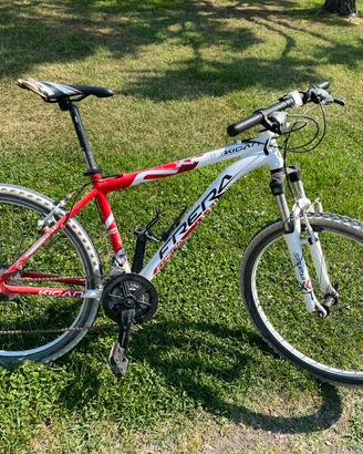 Bicicletta Mtb