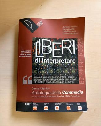 Libro italiano Letteratura (Palumbo)