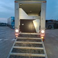 Van trasporto cavalli