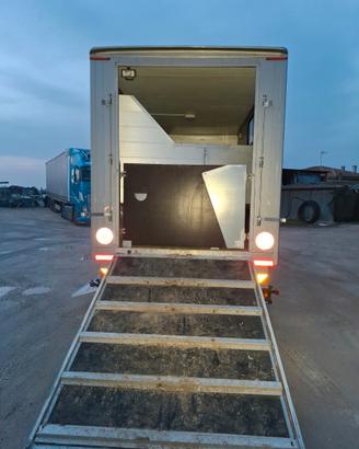 Van trasporto cavalli