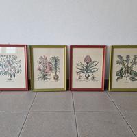 Stampe vintage Simmenthal 