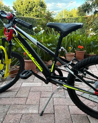 Bicicletta mtb
