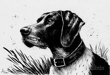 disegno a china cane