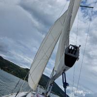 Barca a vela 6mt motore suzuki nuovo