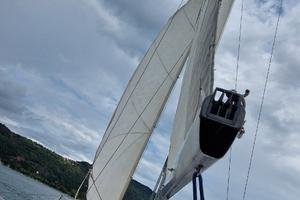 Barca a vela 6mt motore suzuki nuovo