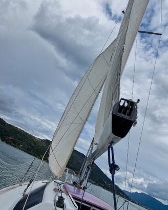 Barca a vela 6mt motore suzuki nuovo