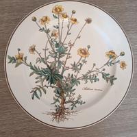 servizio piatti ceramica