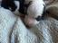 Immagine 5