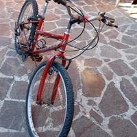 Bici per bambino/ragazzo