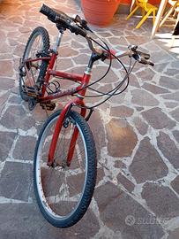Bici per bambino/ragazzo