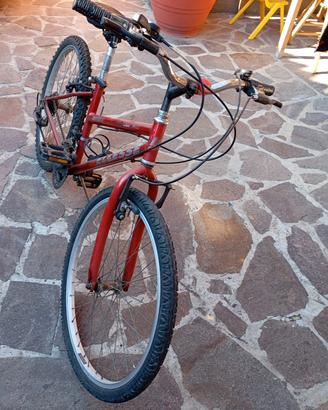 Bici per bambino/ragazzo