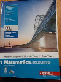 Matematica. azzurro volume 1